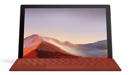 乌拉特后清洁和维护 Surface